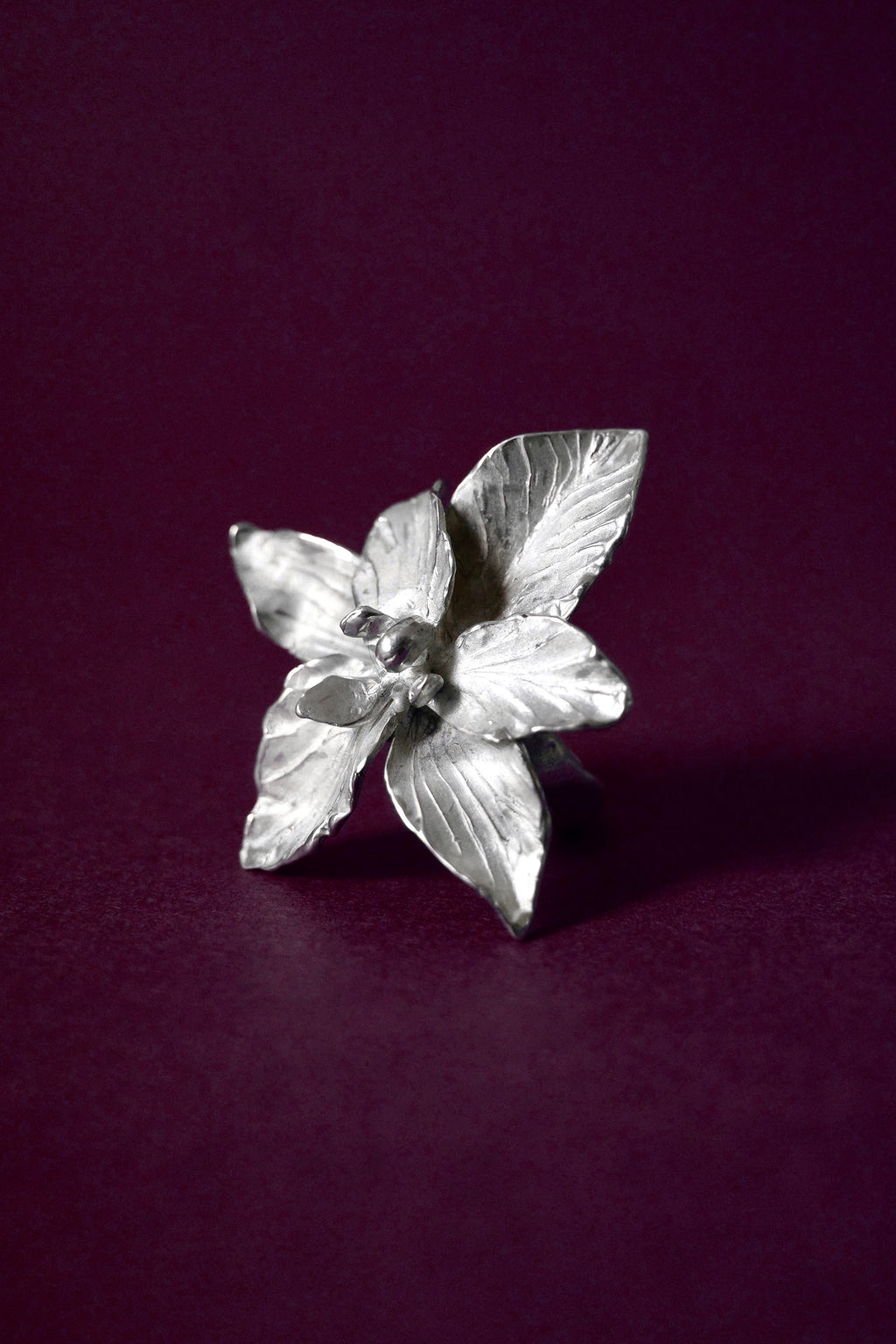 Orquídea