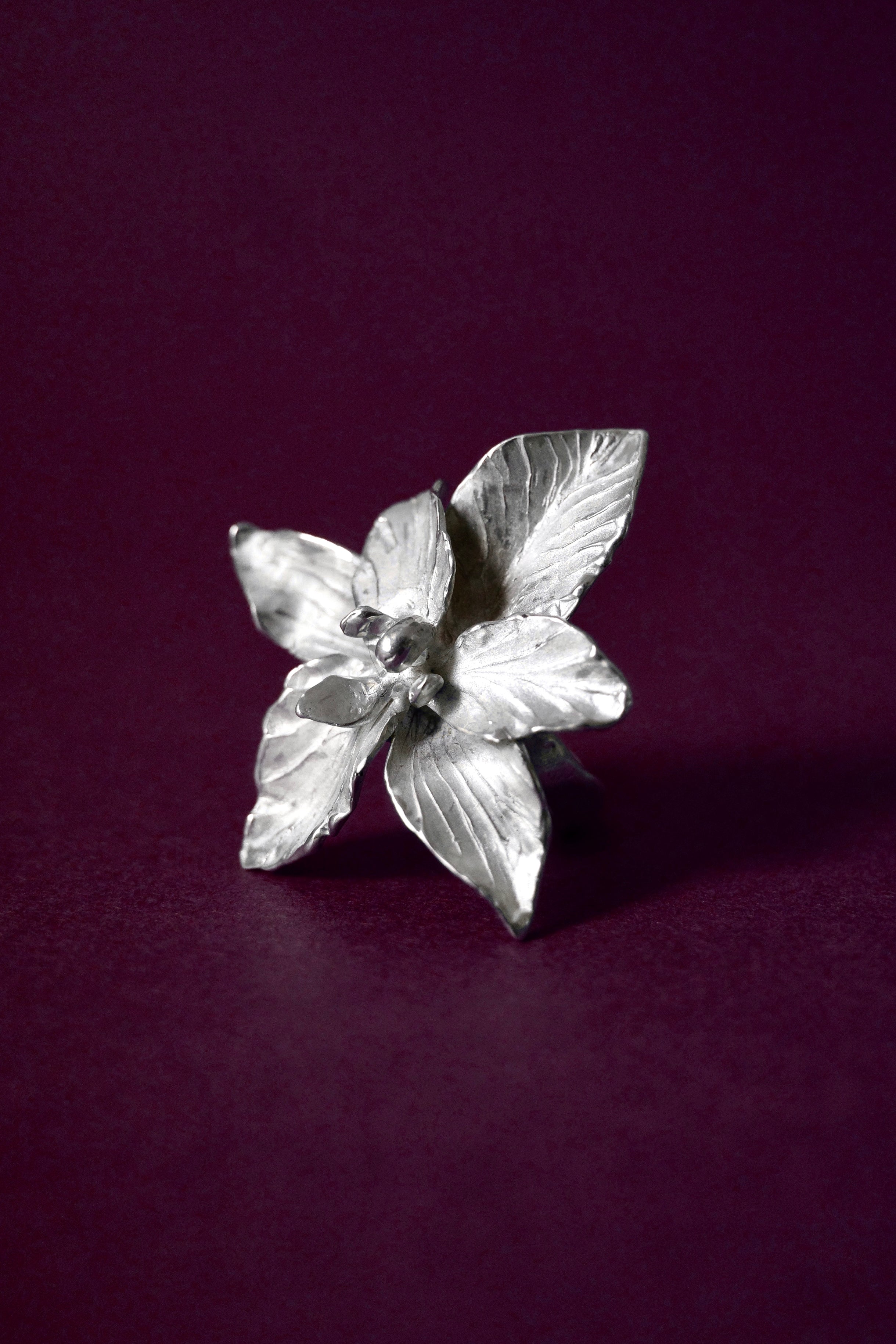 Orquídea