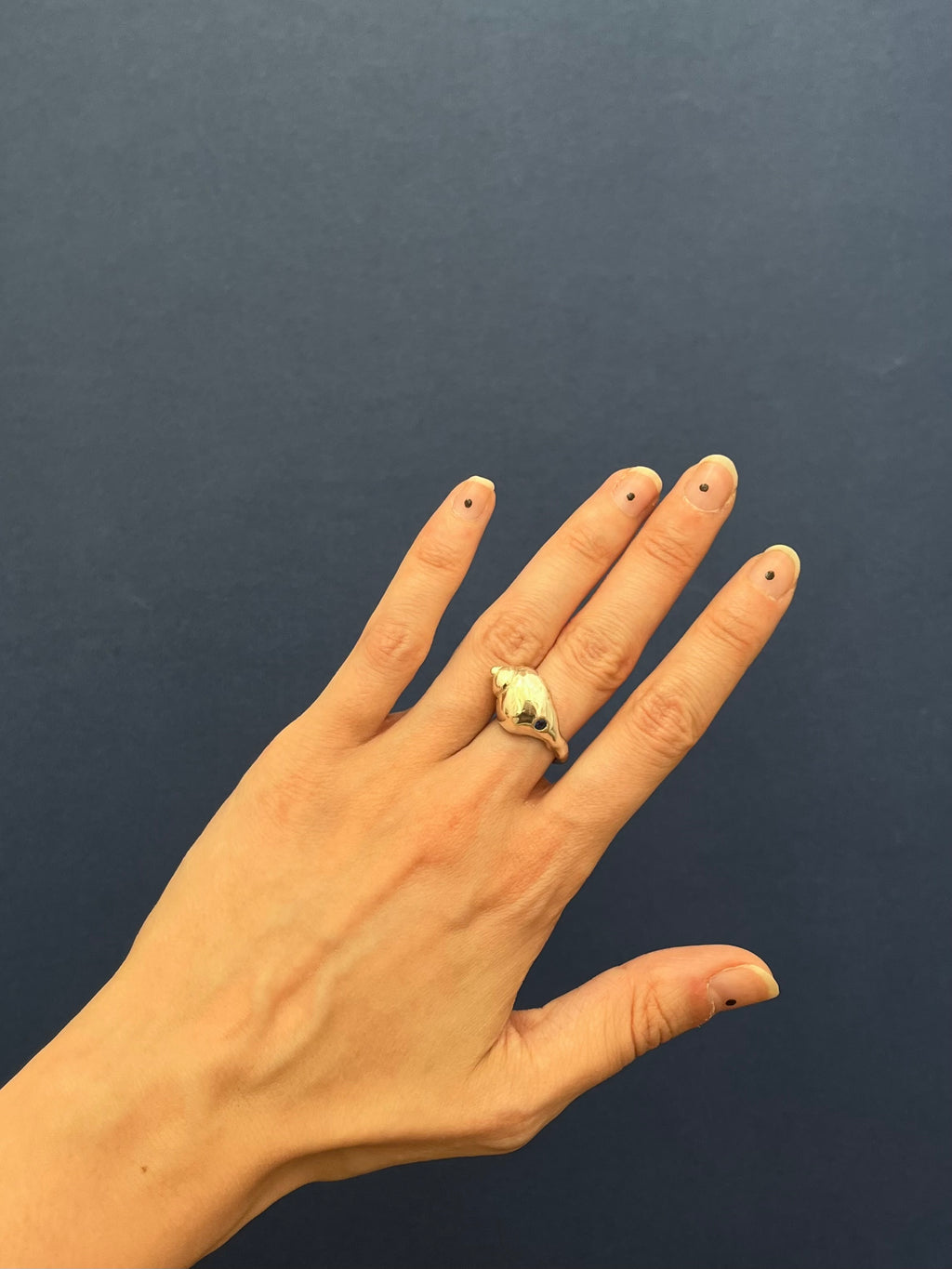 Anillo Agua