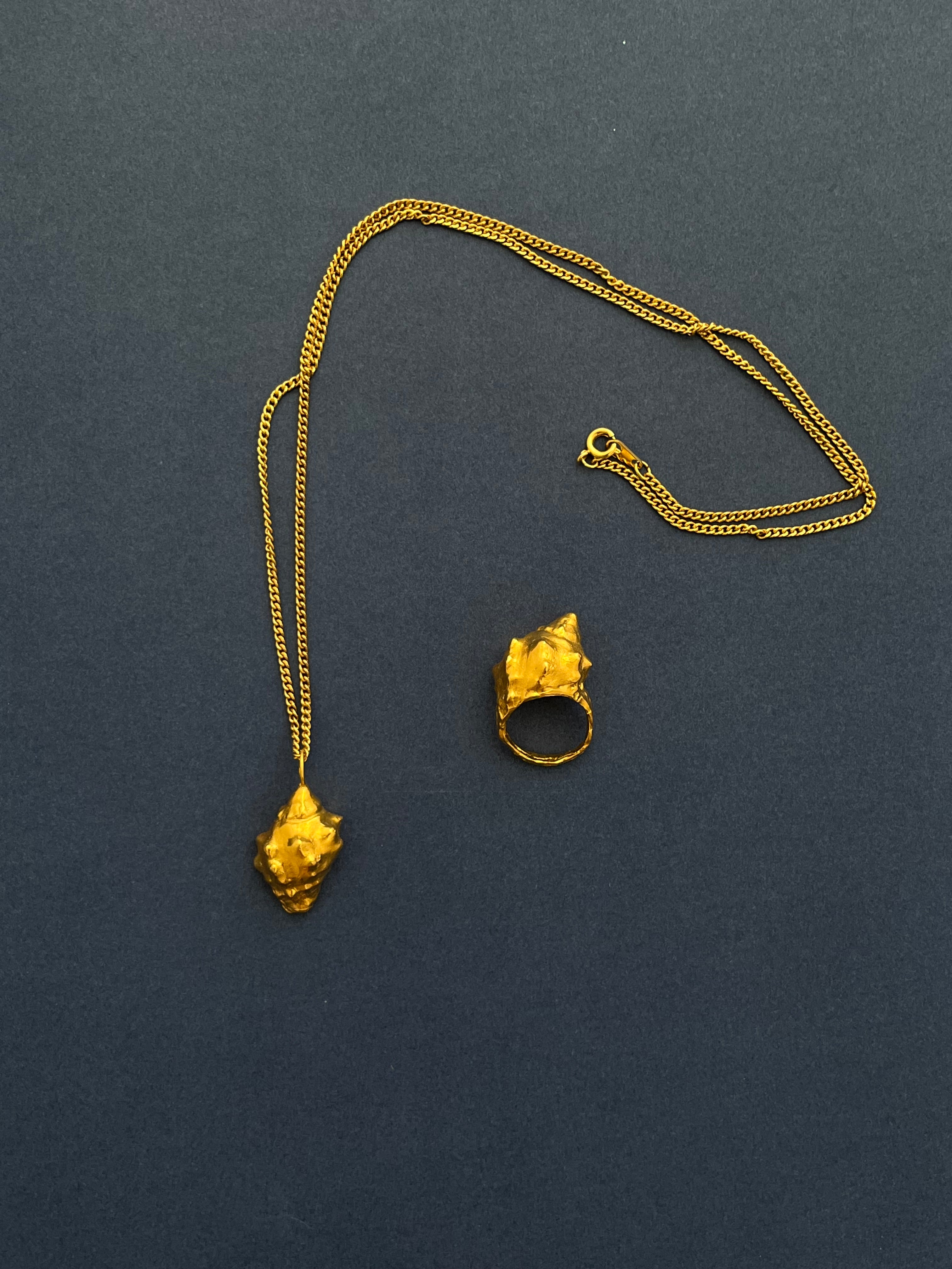 Anillo Arena