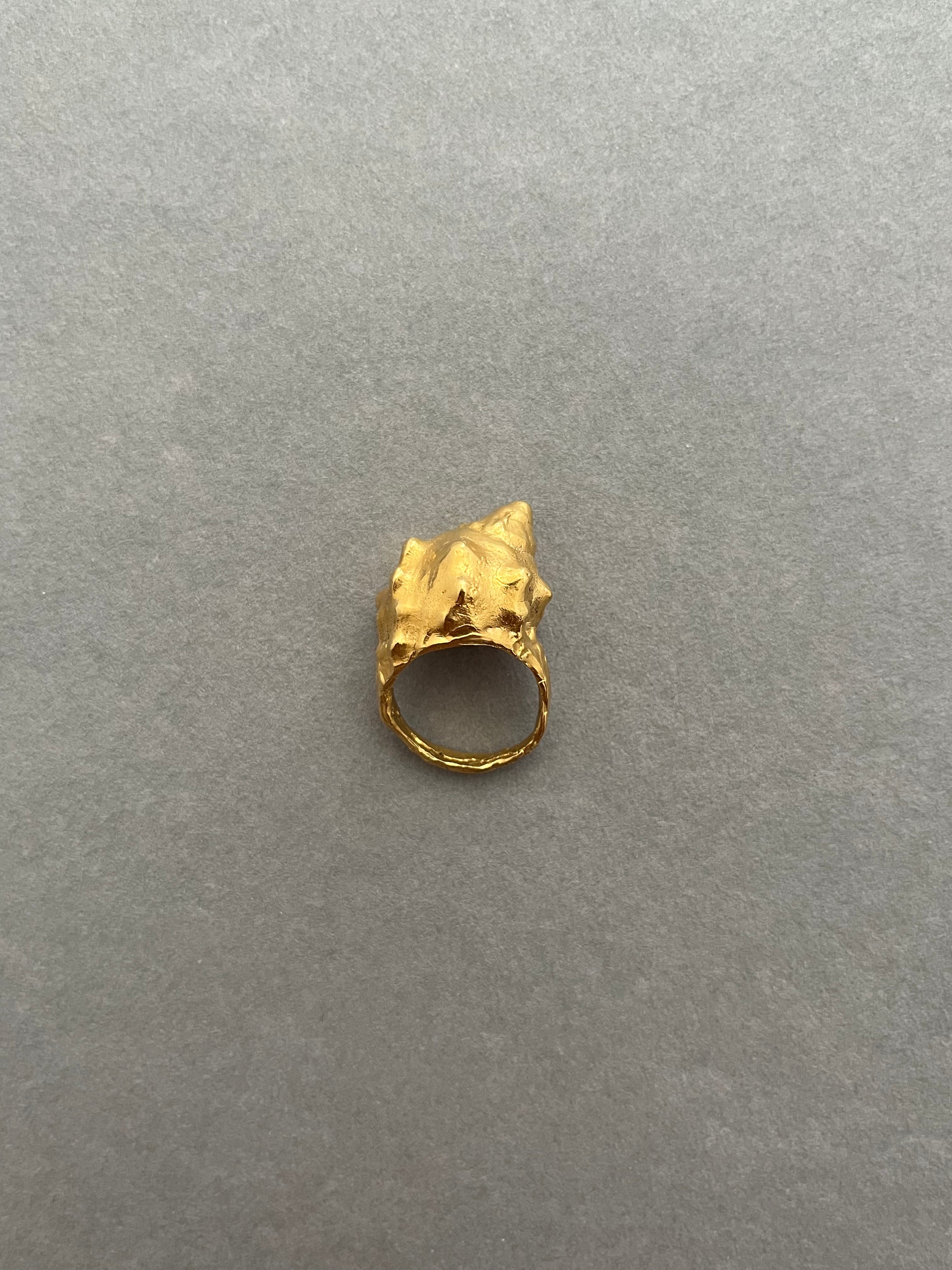 Anillo Arena