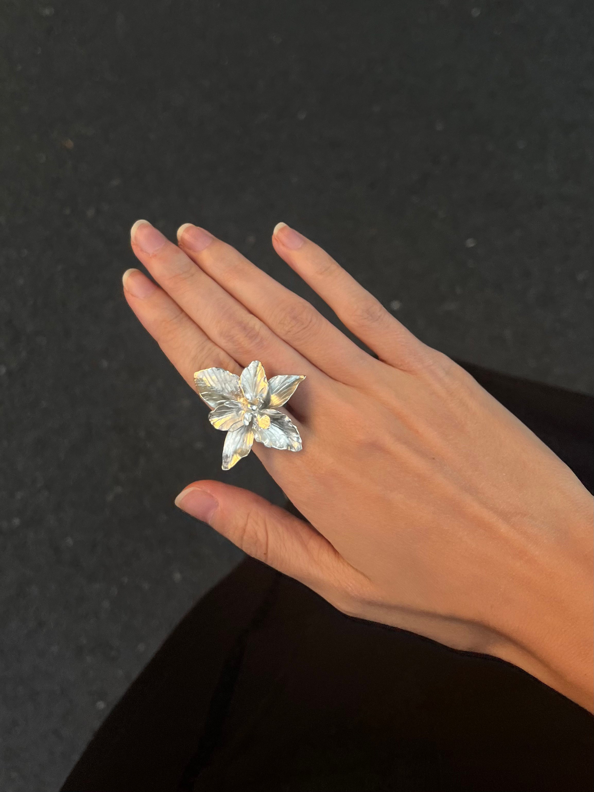 Orquídea