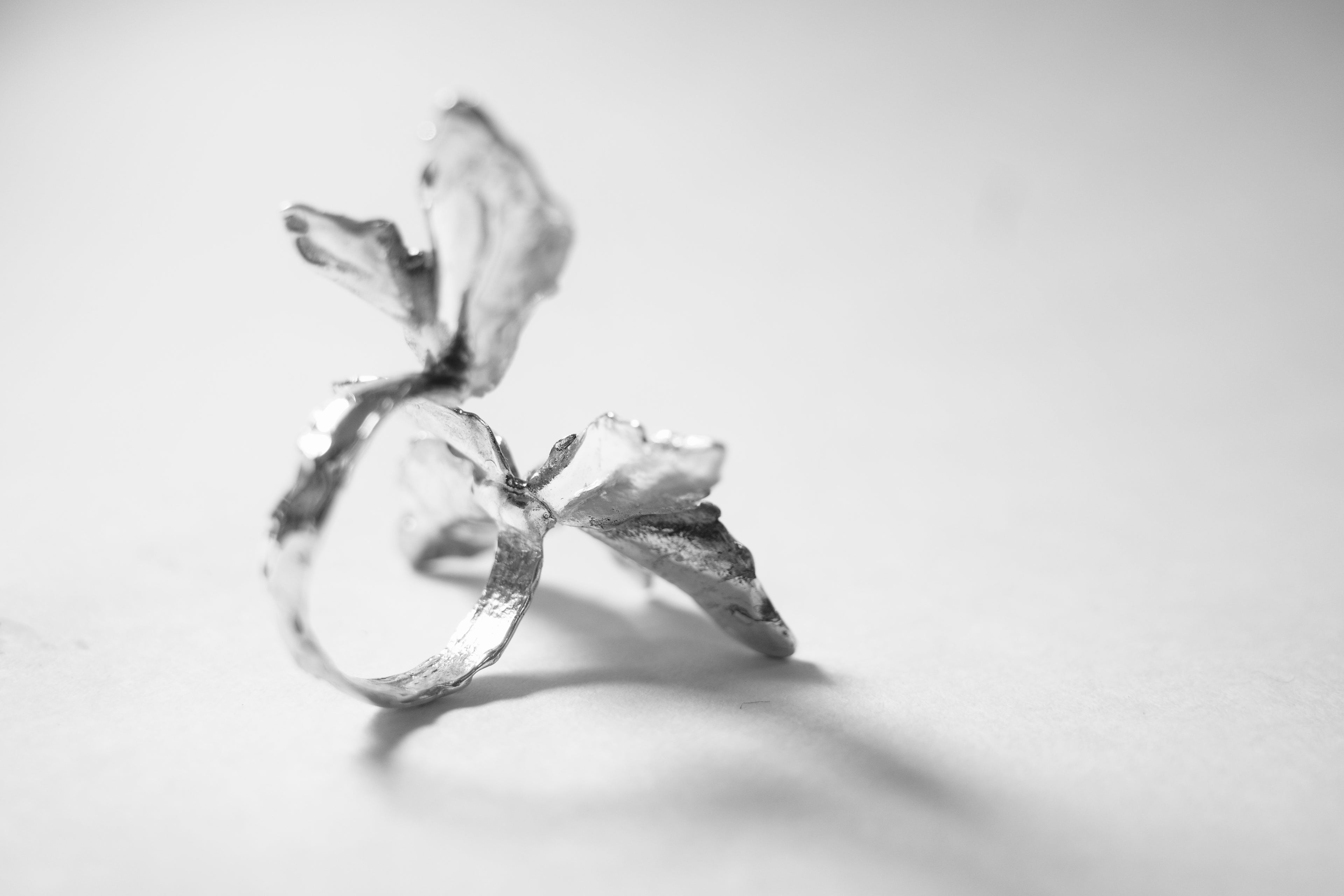 Flora