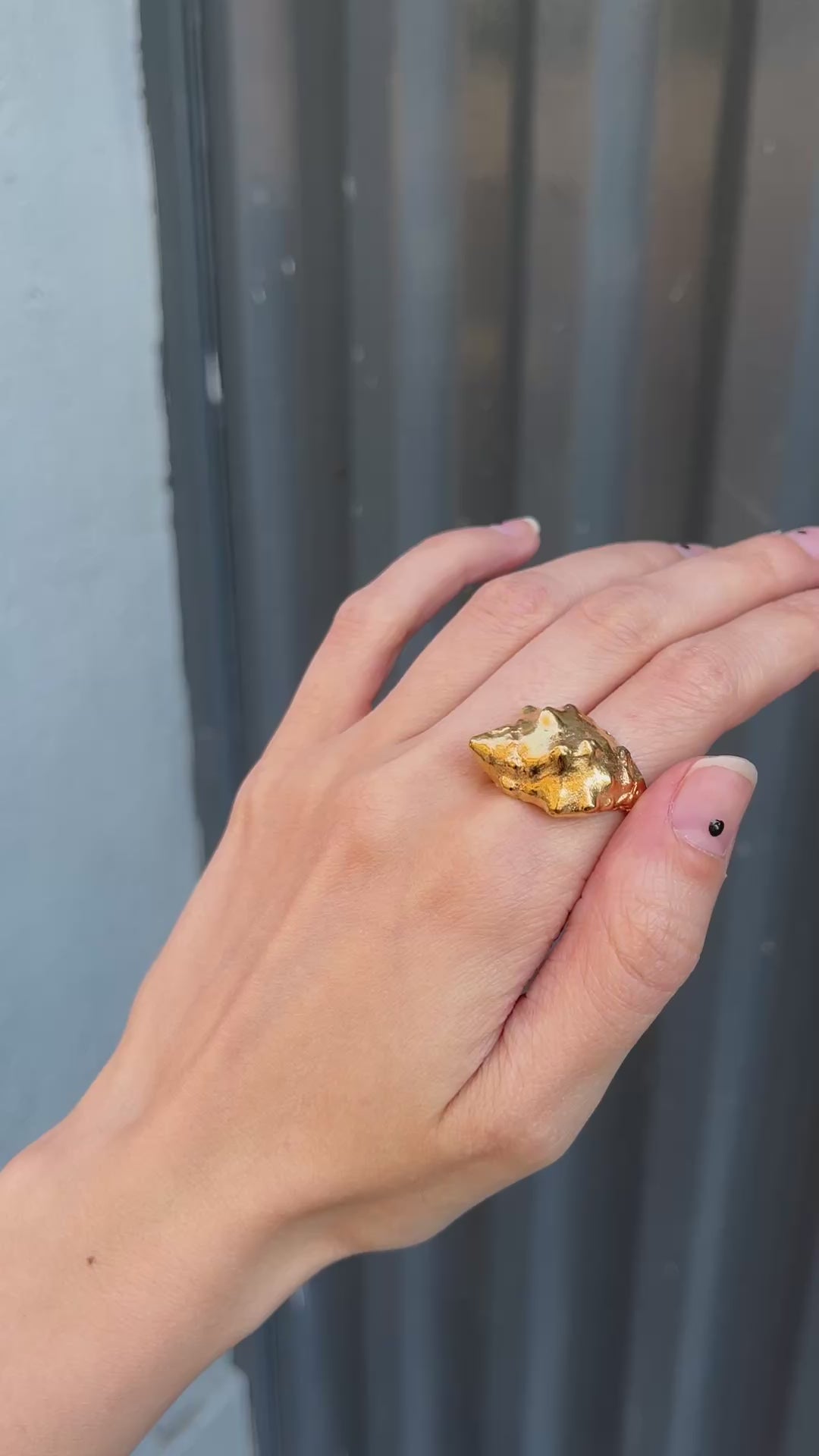 Anillo Arena